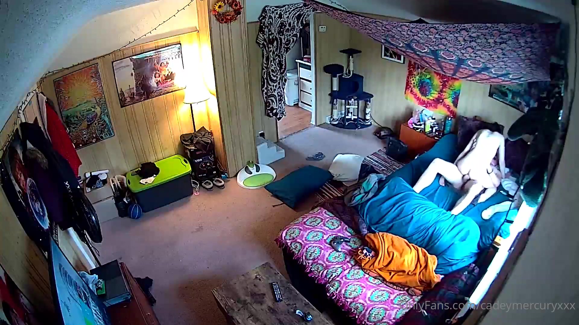 Spycam Home Sex